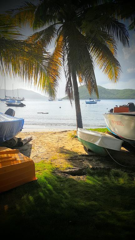 Villa Location Marigot Terre-De-Haut Esterno foto